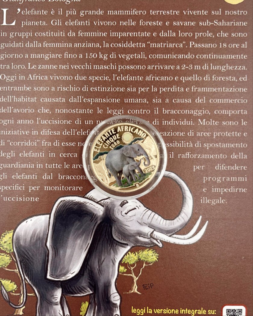 Proof 5€ Itália 2023 – Elefante Africano